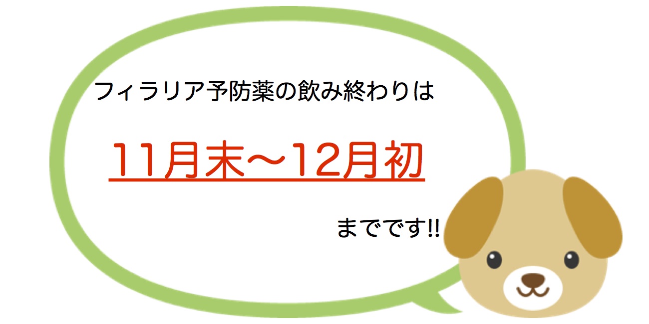 フィラリア予防終わり